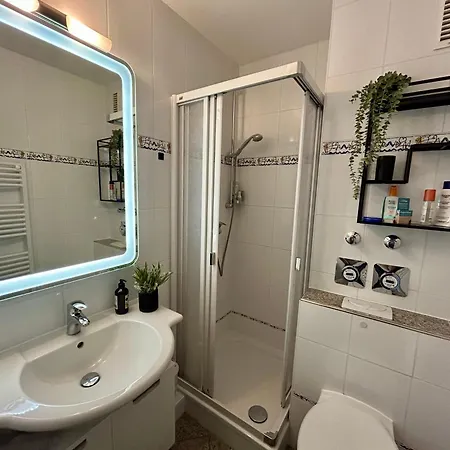 Apartment Am 55